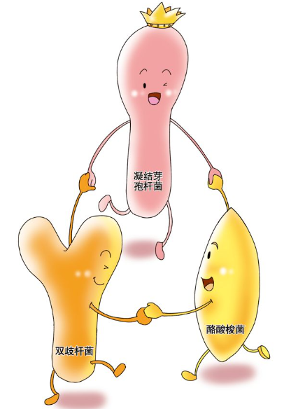 如何给宝宝选择益生菌？