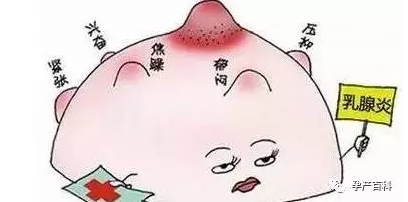 哺乳期乳腺炎，慎用抗生素！