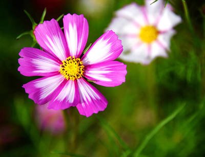 你是雇主喜欢这样的阿姨吗？