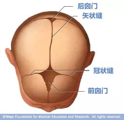 宝宝的囟门很重要，出现这3种异常要当心！