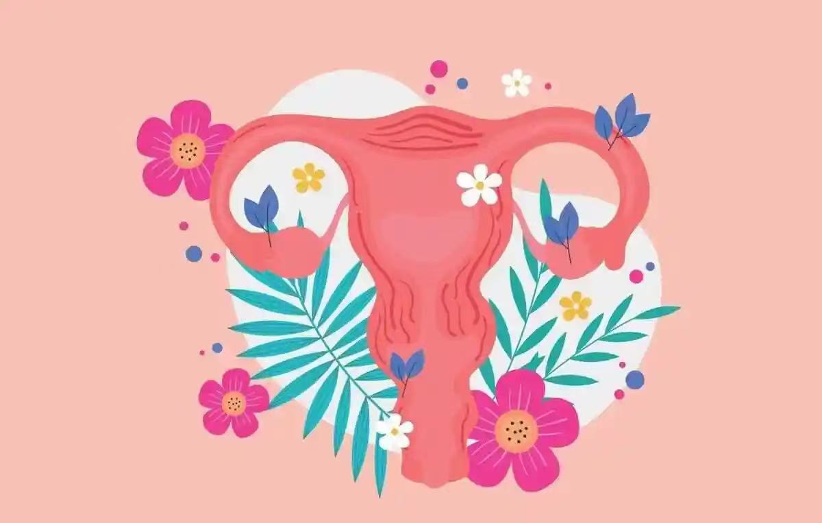 孕妈小知识|怎样保护子宫健康？