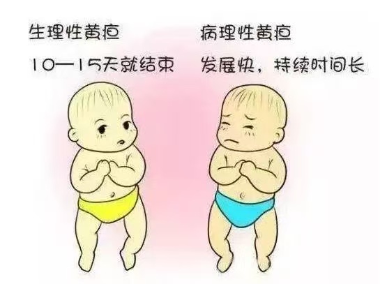 新生儿常见10种生理现象与7大护理要点！月嫂上岗前必读！