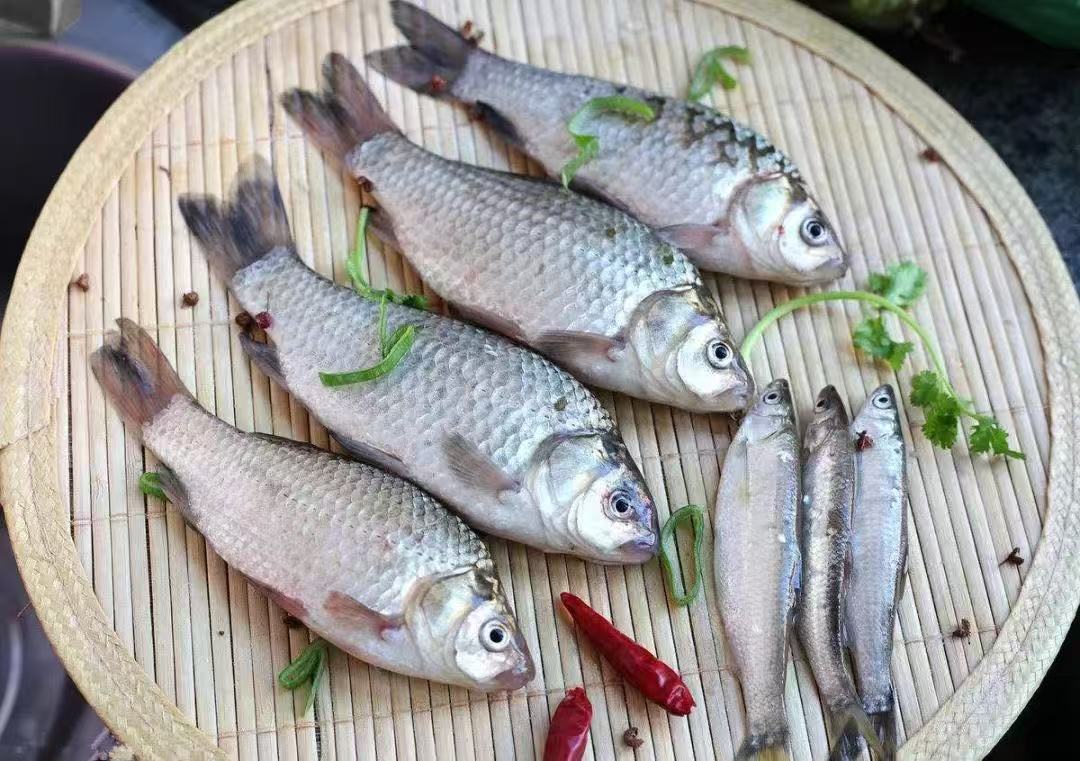 25种催乳又健康的食材推荐