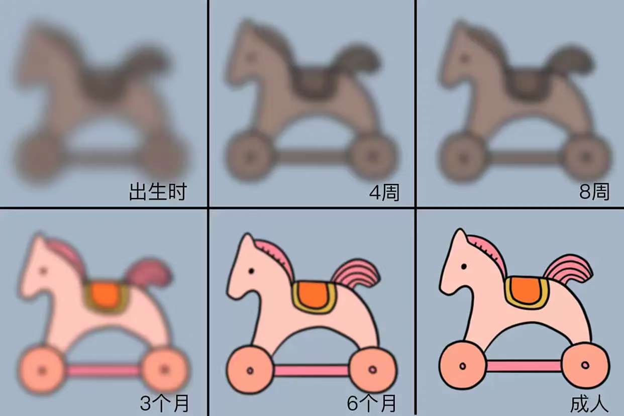 婴儿视力发育过程图